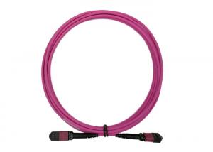 Wholesale Fiber Optical 24 MTP MPO Patch Cord 5M OM4 24 Core Magenta Low Loss 0.3dB type B from china suppliers