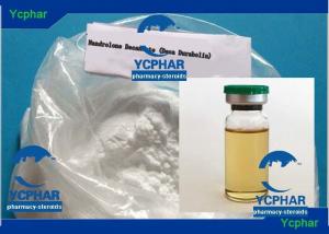 Nandrolone decanoate active life