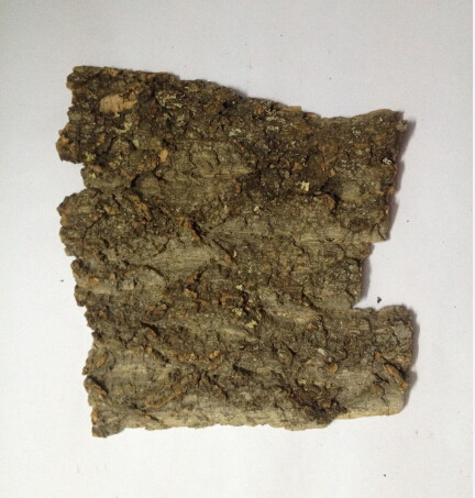 Wholesale Randomly size,Frist-layer Nature Cork Bark Tiles,for Animals Enclosures from china suppliers