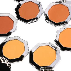 Wholesale Customization Makeup Contour Concealer 10g Face Compact Powder from china suppliers