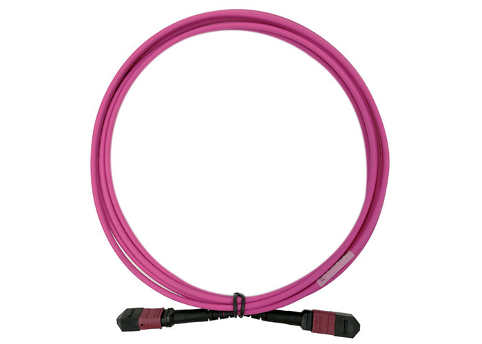Wholesale 100G 24 MTP MPO Fiber Optic Cable Patch Cord 3M OM4 24 Core Magenta Type B USCONEC from china suppliers