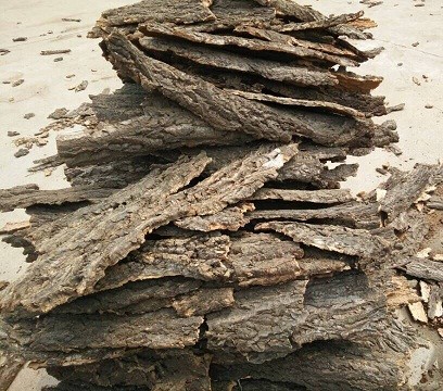 Wholesale Randomly Size,Frist-Layer Nature Cork Bark tiles,for animals enclosures,wall decoration from china suppliers