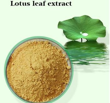 Buy cheap Nuciferine,CAS NO.: 475-83-2,98%,lotus leaf extract from wholesalers