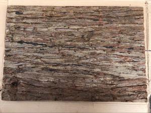 Wholesale 400*600mm Standard Size Frist-Layer Fir Bark tiles with Cork Back for Wall Decoration from china suppliers