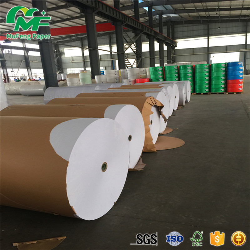 Wholesale Laminating Film Thermal Paper Jumbo Rolls , Jumbo Thermal Paper Virgin Pulp Style from china suppliers