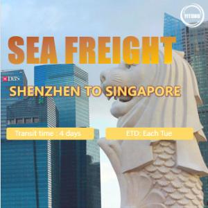 Wholesale International Sea Freight from Shenzhen to Singapore Port to Port from china suppliers