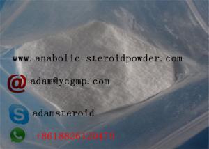 Mesterolone powder
