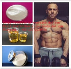 Nandrolone laurate dogs