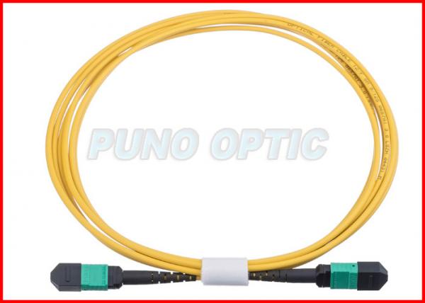 Quality 24 X Lanes LC Fiber Optic MPO Trunk Cable OS2 Single Mode Low Insertion for sale