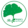 China Sichuan Baikong Electric Technology Co., Ltd. logo