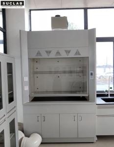 Wholesale Epoxy Coated Steel Fume Hood Laboratory Equipment Environmental Friendly from china suppliers