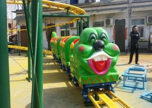 Green Worm Shape Kiddie Roller Coaster For Large Parks And Tourist Attractions