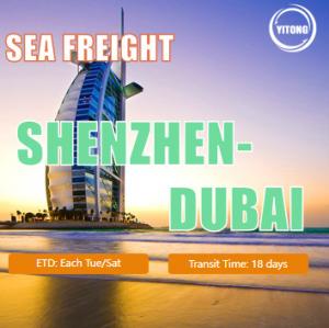 18 Days International Sea Freight Logistics From Shenzhen China To Dubai UAE