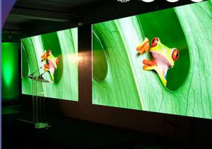 Wholesale 1800 Nits / Sqm High Definition P3 Small Pitch LED Display / RGB Full Color LED Screen from china suppliers