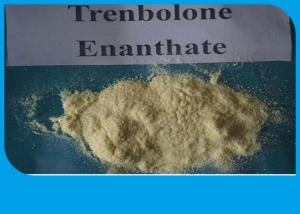 Trenbolone cycle for beginners