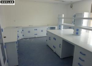 Wholesale High School Chemical Lab Furniture 3000L Big Capacity With Reagent Shelf from china suppliers