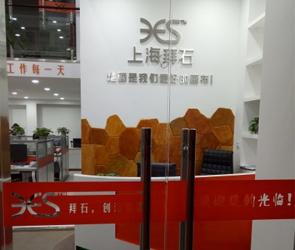 shanghai bes industry development co.,Ltd