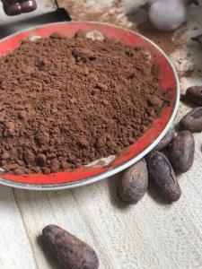 Wholesale FIRST 10-14% Brown Alkalized Cocoa Powder HALAL Characteristic Cocoa Flavour from china suppliers