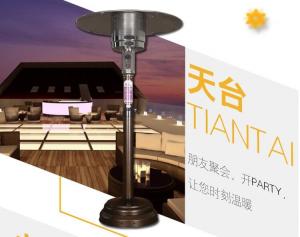 Wholesale Elegance Powder Coated Stand Up Outdoor Heater 13000W 1400-2000mm Height from china suppliers