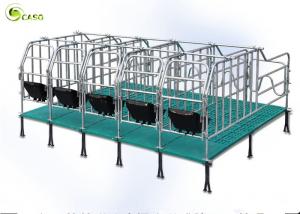 Wholesale Swine Farm Galvanized Pipe Pig Gestation Stalls / Pregnant Swine Gestation Crates from china suppliers