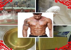 Trenbolone acetate cycle alone