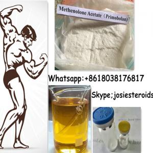 Primobolan steroids.com