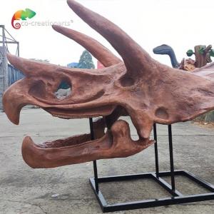Jurassic World Replica Triceratops Skeleton Sunproof For Museum