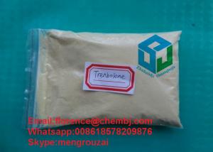 The steroid trenbolone