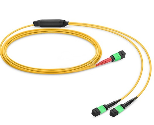 Wholesale MTP / MPO To Dual MTP / MPO Female 24 Fiber OS2 Single Mode Conversion Harness from china suppliers