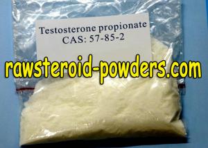 Testosterone propionate beginner cycle