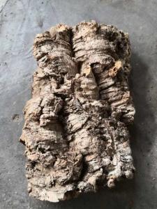 Wholesale Factory Wholesale 3~4cm thickness Virgin Cork Bark Perfect for Dispalying Air Plants, Bromeliads & Orchids from china suppliers
