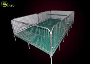 Wholesale Easy Install Pig Weaning Pen Galvanized Swine Nursery Pens 2.5 Steel Tube from china suppliers