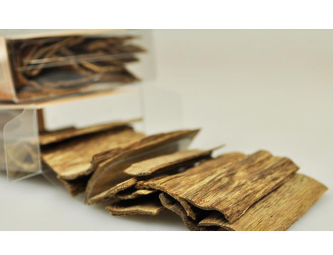 Sell the chinese cultivated Alosewood, Eaglewood, Agarwood, Garoo Aqusinensis Incense Tree wood