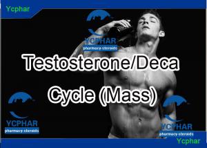 Testosterone e cycle