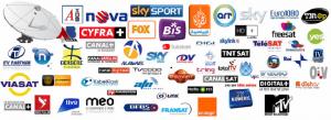Wholesale CCCAM account for Europe, Middle East and support Sky Germany, Sky UK, France HD, NOVA , DIGITAL+ HD, freesat , from china suppliers