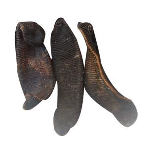 Wholesale New top quality Dried leeches online sale good price natural dired no additives from china suppliers