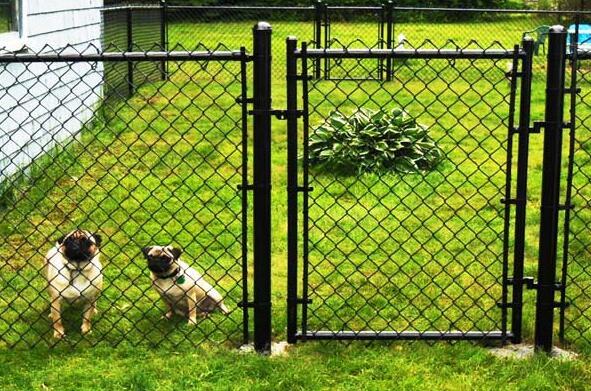 hot sale chain link fence accessories chain link fence panels for garden fencing of item 105471805
