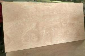 Wholesale Natural R/C Sapele Furniture Grade Plywood Polished Surface High Durable from china suppliers