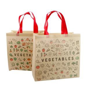 Wholesale Non Woven Shopping PLA Gift Bag from china suppliers
