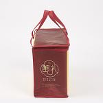 China Manufacture Eco Friendly Bag Waterproof Thermal Non Woven Insulated