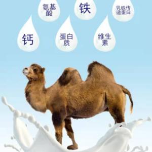 Wholesale Camel Milk Powder Daily Food Items Physical Strengthening With Vitamins B from china suppliers