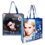Competitive Price Eco-Friendly Non Woven Shopping Bag Supplier