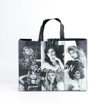 New Fashion Eco-Friendly Customized Promotional Non Woven Bag Shopping Bag