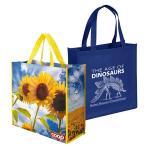 Competitive Price Eco-Friendly Non Woven Shopping Bag Supplier