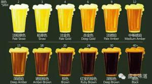 Wholesale Hotel Pub Brewing System 2000L Brew Pub Equipment For Sale from china suppliers