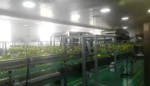 Wholesale Stable Performance Various Liquid Oil Filling Machine Flexible Configuration from china suppliers