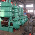 High Quality of Screw Oil Press Machine for Vegetable Oil Plant