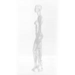 Factory full body female mannequin for clothing store mannequin woman