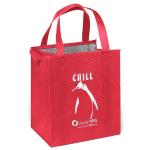 China Manufacture Eco Friendly Bag Waterproof Thermal Non Woven Insulated
