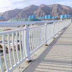 Porch Safety Stainless Steel Guardrail Sprayed Galvanised Tubular Handrail
